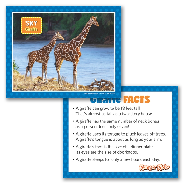 Alternate view:ALT3 of Ranger Rick Eco-Friendly Adoption Kit - Giraffe