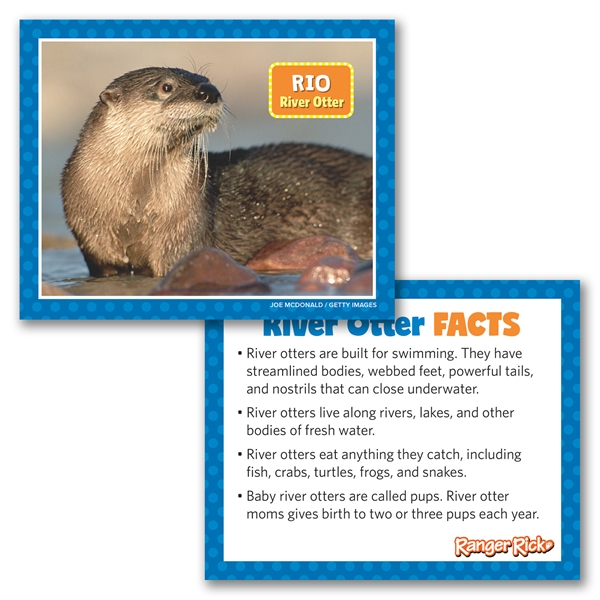 Alternate view:ALT3 of Ranger Rick Eco-Friendly Adoption Kit - River Otter