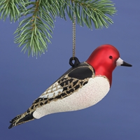 Red Headed Woodpecker Glass Ornament - 500137