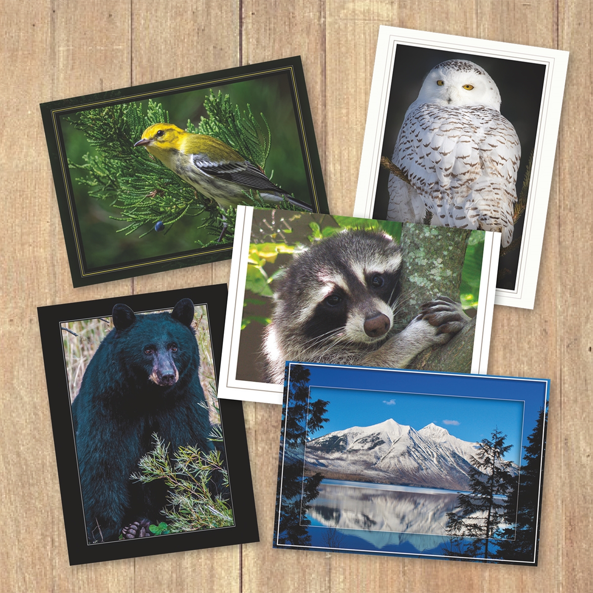 Trees for Wildlife Card Assortment