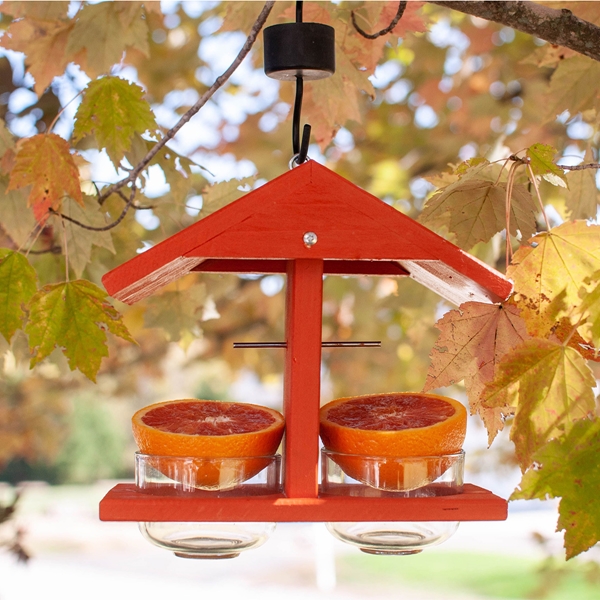 Alternate view: of Double Fruit & Jelly Feeder