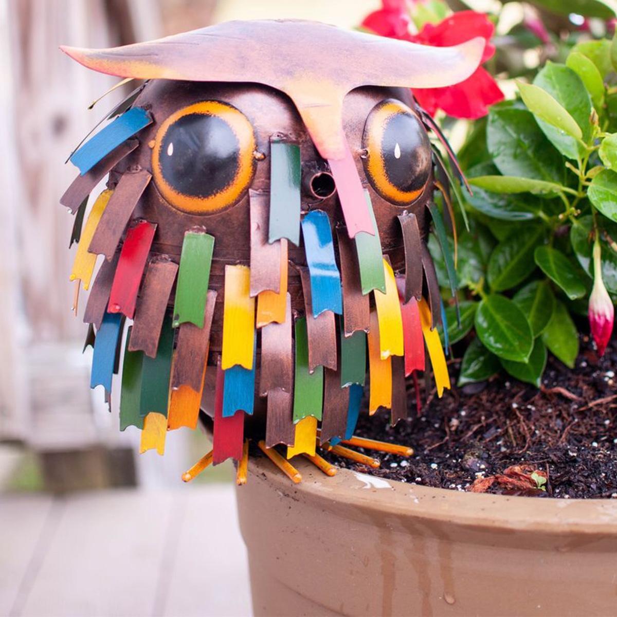 Owl Watering Can