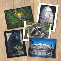 (Pack of 5) Trees for Wildlife Assorted Cards