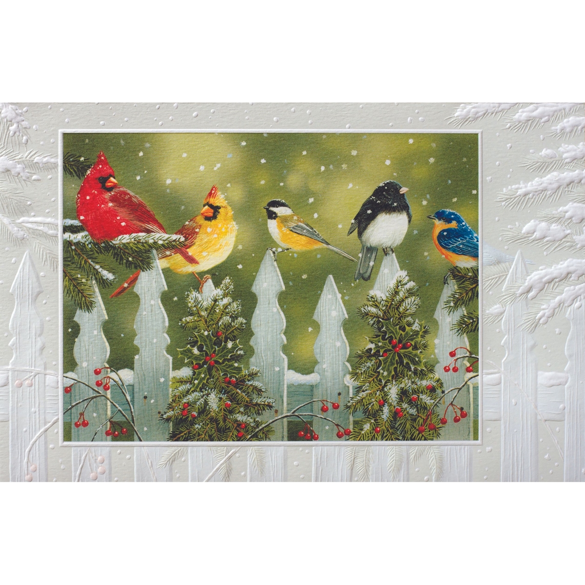 Winter Birds Cards