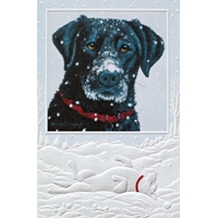 New Snow Cards - NWF98355