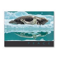 Seal Snuggle Holiday Cards - 10876