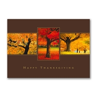 Thanksgiving Trio Cards - 10895