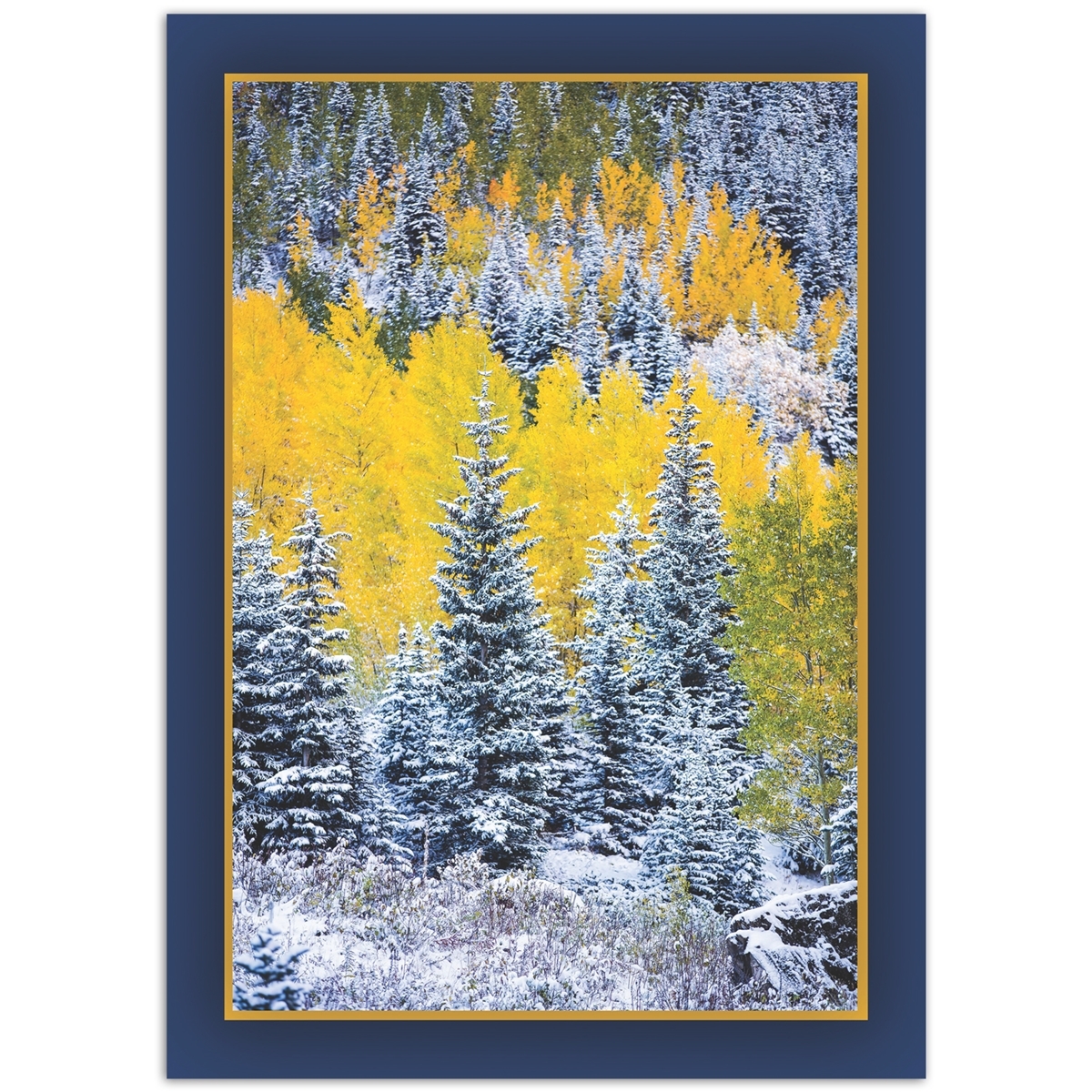Aspen's Autumn Snow Cards