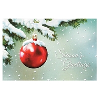 Scarlet Winter Holiday Cards