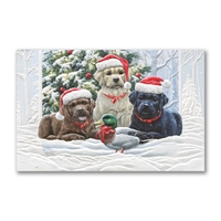 Lab Pup Trio Cards - NWF11142