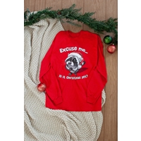 Excuse Me Christmas Raccoon Long Sleeve Tee - 657069