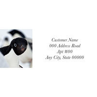 Adelie Penguin Label - NWF10806AL