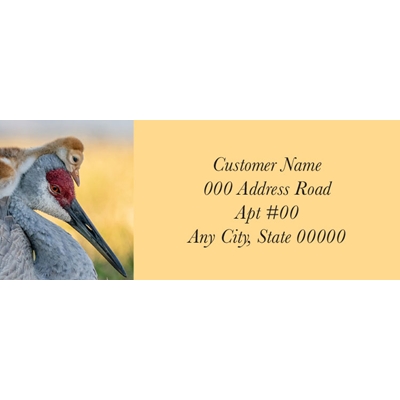 Sandhill Crane and Chick Label