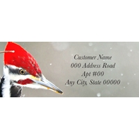 Pileated Woodpecker on a Branch Label - NWF10827AL