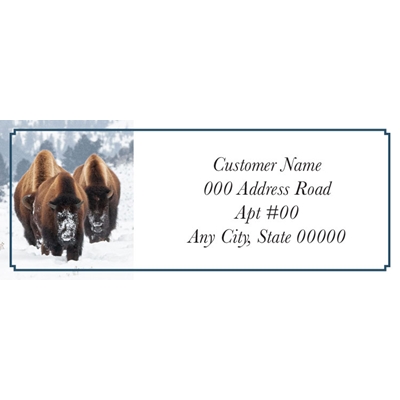 Bison in Yellowstone Label