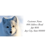 Arctic Fox in the Winter Label - NWF10845AL