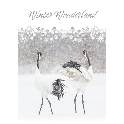Red-Crowned Cranes in Snow Storm Cards
