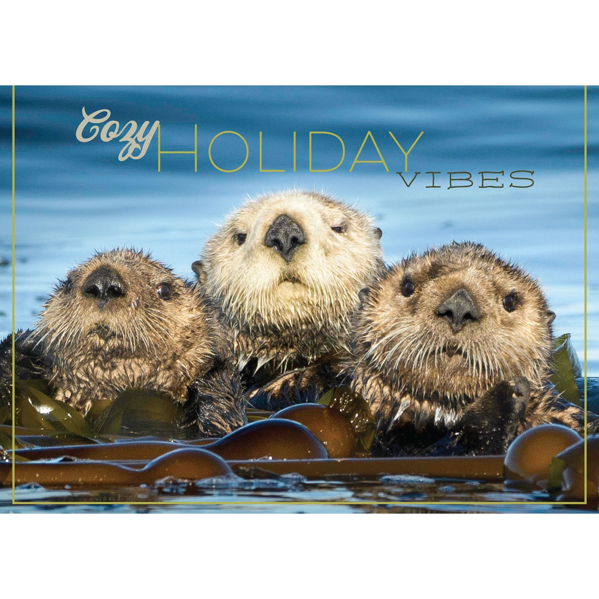 Otter Raft Christmas Cards