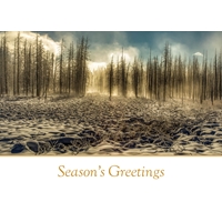 Cold Morning in Yellowstone Cards - Standard - NWF10813V