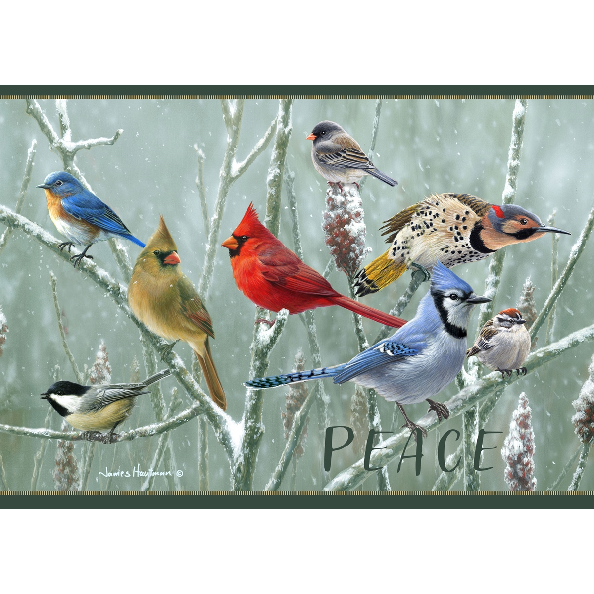 Songbirds Gathering Cards - Standard
