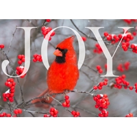 Cardinals and Berries Cards - NWF10832V