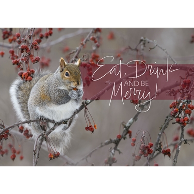 Squirrel Feeding on Berries Cards - Standard