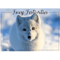 Artic Fox in the Winter Cards - Standard - NWF10845V