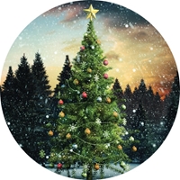 Christmas Tree Magic Seals - NWF10866S