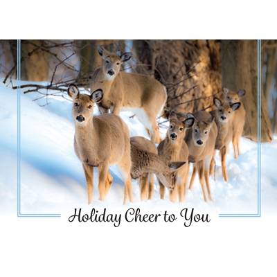 Deer Family on a Winter Outing Cards - Personalized ($9.00 Fee Included)