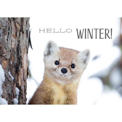 Pop Up Marten Cards - Personalized ($9.00 Fee Included)