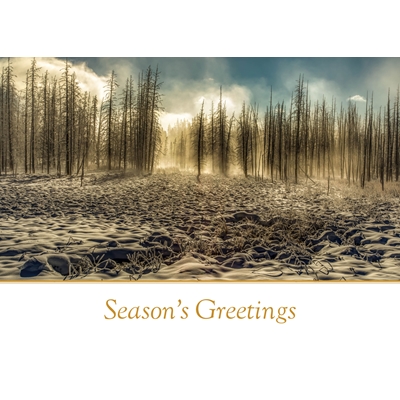 Cold Morning in Yellowstone Cards - Personalized ($9.00 Fee Included)