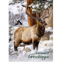 Winter Elk and Magpie Cards - Personalized ($9.00 Fee Included) - NWF10817P