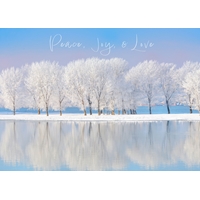 Winter Wonderland Cards - Personalized ($9.00 Fee Included) - NWF10836P