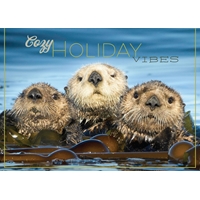 Otter Raft Cards - Personalized ($9.00 Fee Included) - NWF10810P