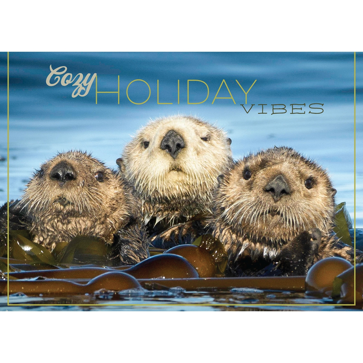 Otter Raft Cards - Personalized ($9.00 Fee Included)