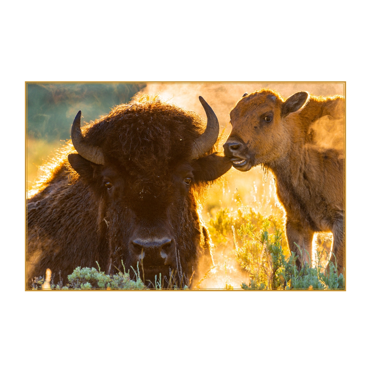 Mommy and Me Plains Bison Cards - Personalized ($9.00 Fee Included)
