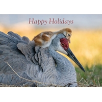 Sandhill Crane and Chick Cards - Personalized ($9.00 Fee Included) - NWF10821P