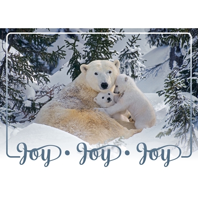 Bear Family in the Snow Cards - Personalized ($9.00 Fee Included)
