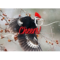 Pileated Woodpecker on a Branch Cards - Personalized ($9.00 Fee Included) - NWF10827P