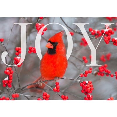 Cardinals and Berries Cards - Personalized ($9.00 Fee Included)