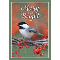 Chickadee on a Branch Cards - Personalized ($9.00 Fee Included) - NWF10833P