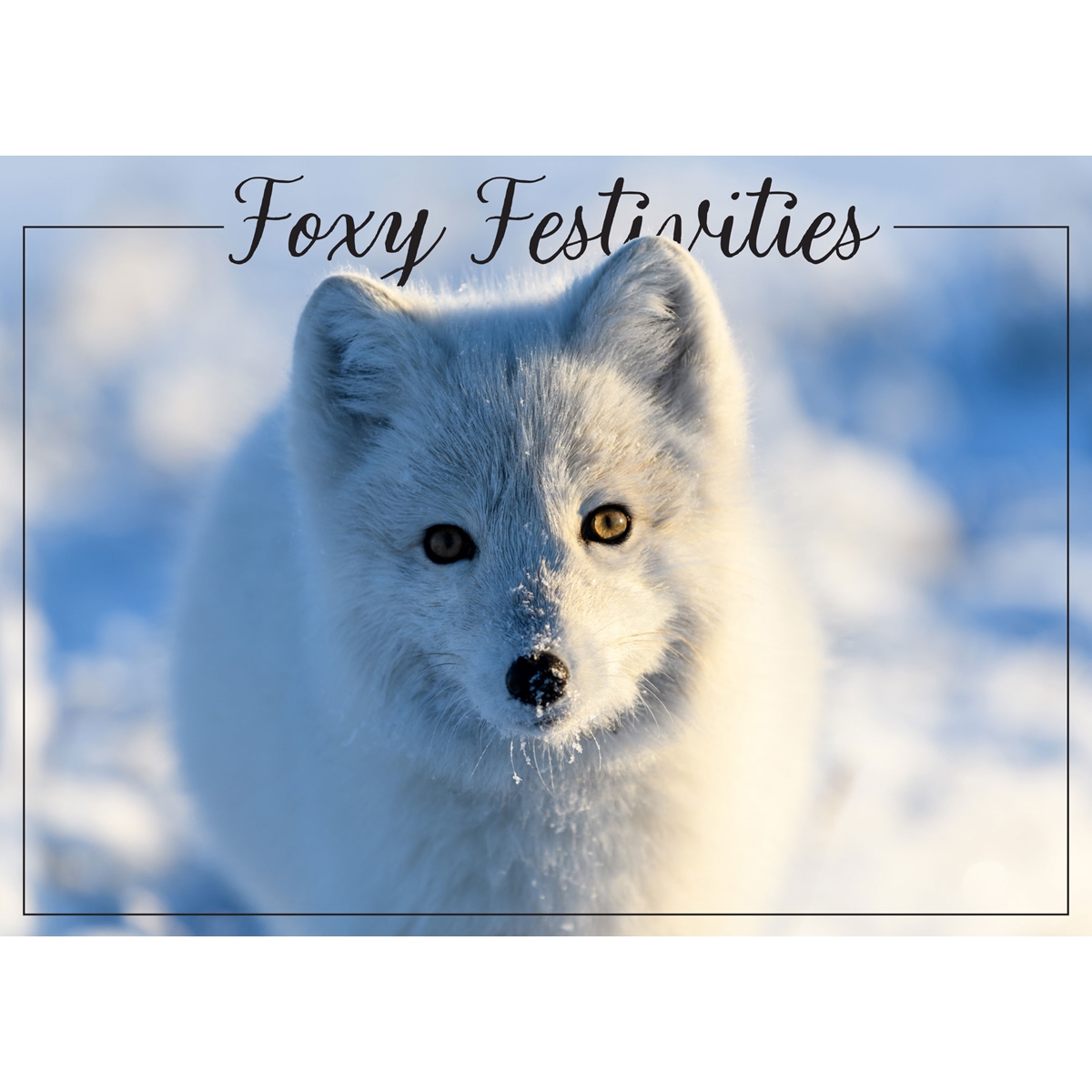Artic Fox in the Winter Cards - Personalized ($9.00 Fee Included)