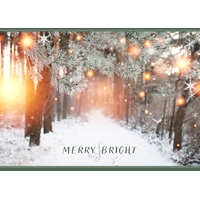 Winter Glow Cards - Personalized ($9.00 Fee Included) - NWF10847P