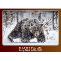 Brown Bear in Forest Cards - Personalized ($9.00 Fee Included) - NWF10869P