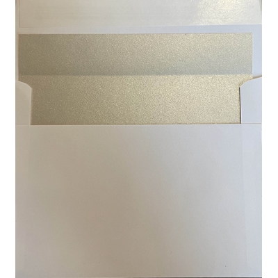 (Pack of 16) Silver Envelope Liners