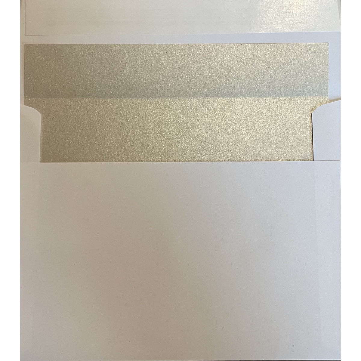 (Pack of 16) Silver Envelope Liners