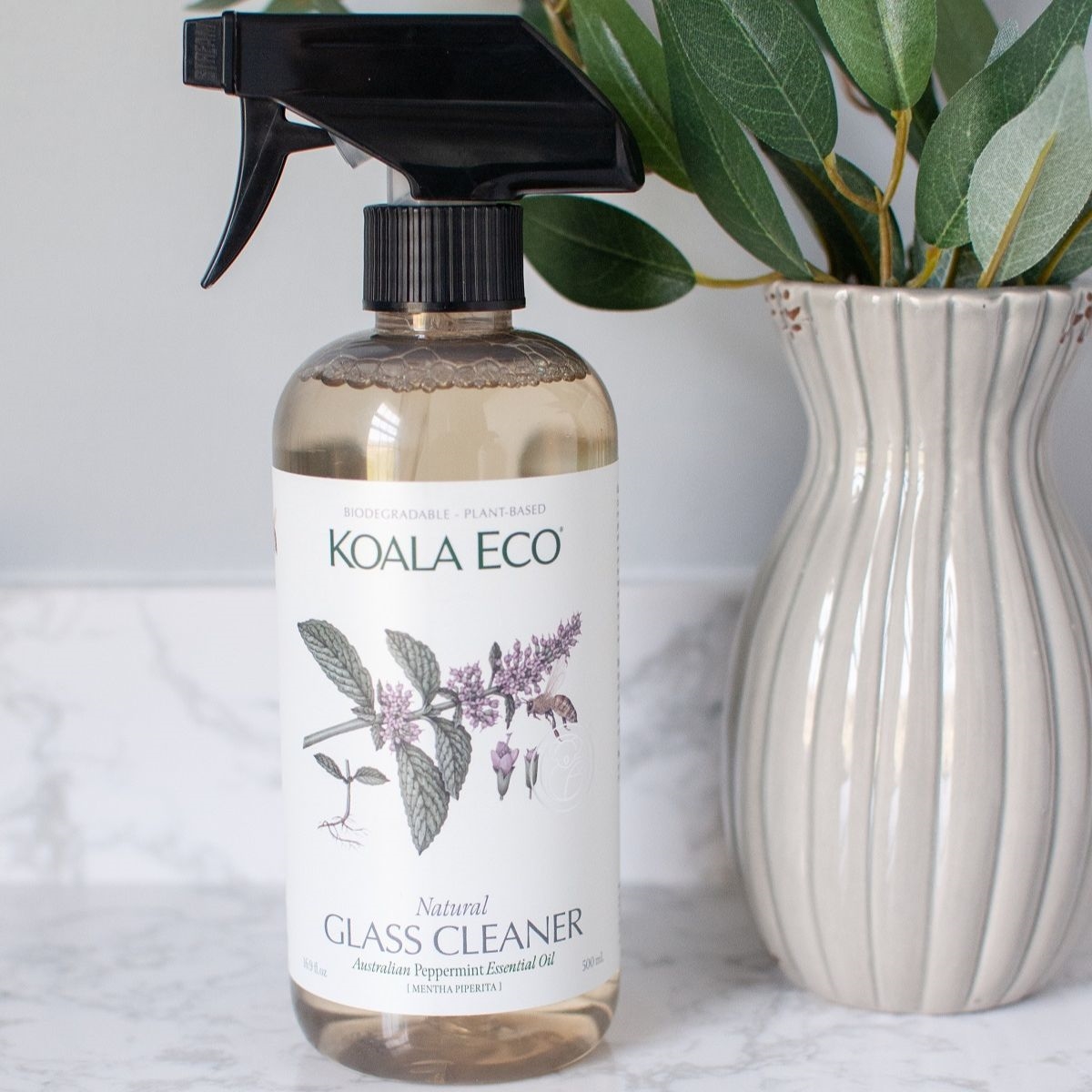 Eco-Friendly Glass Cleaner
