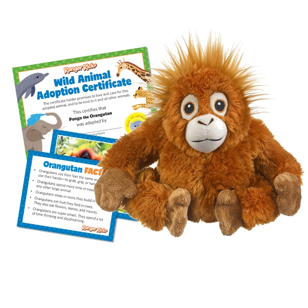 Alternate view: of Ranger Rick Eco-Friendly Adoption Kit - Orangutan