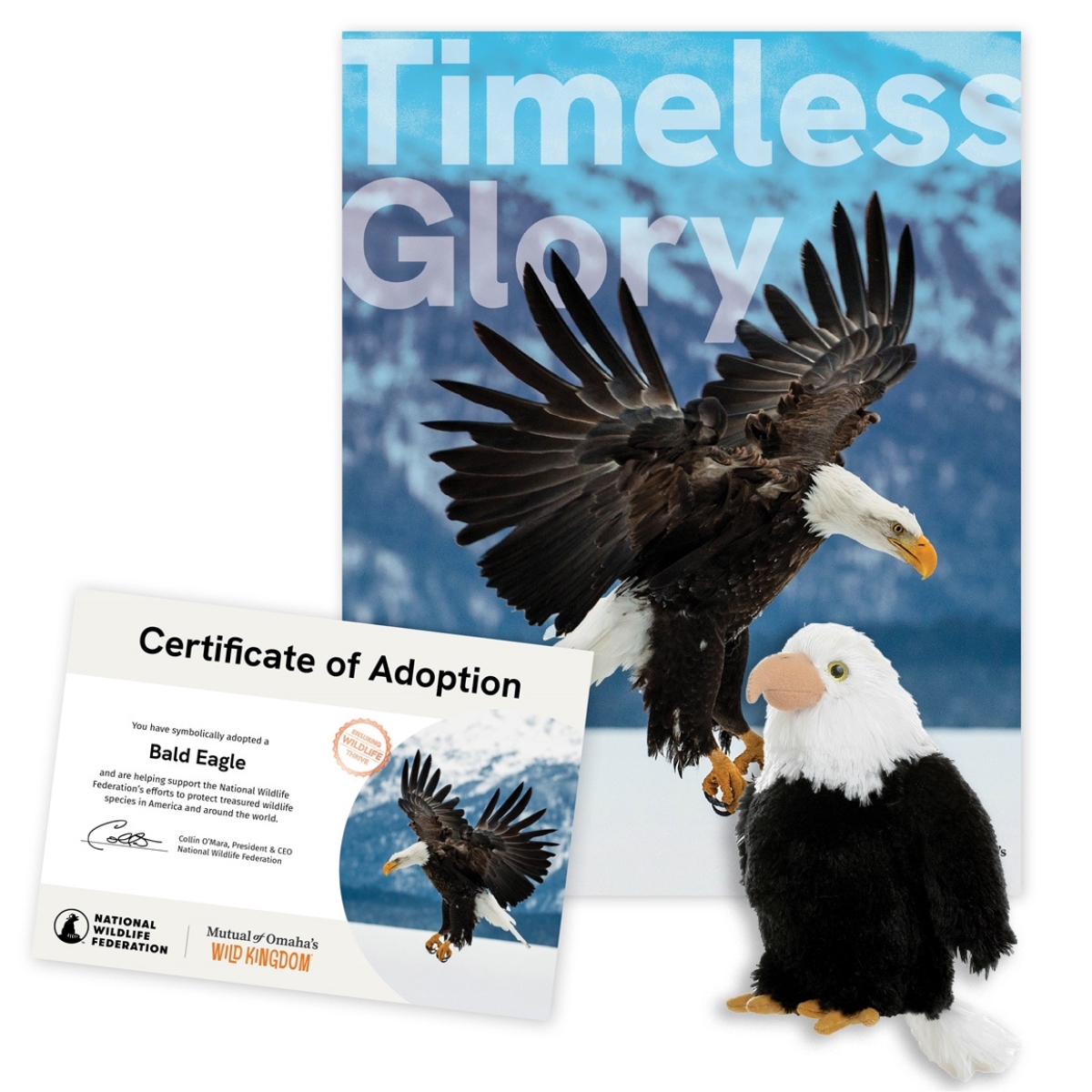 Wild Kingdom Adoption Kit - Bald Eagle