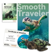 Wild Kingdom Adoption Kit - Sea Turtle - MSTUR